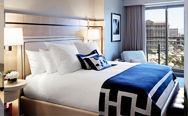 Beautiful Garden Area